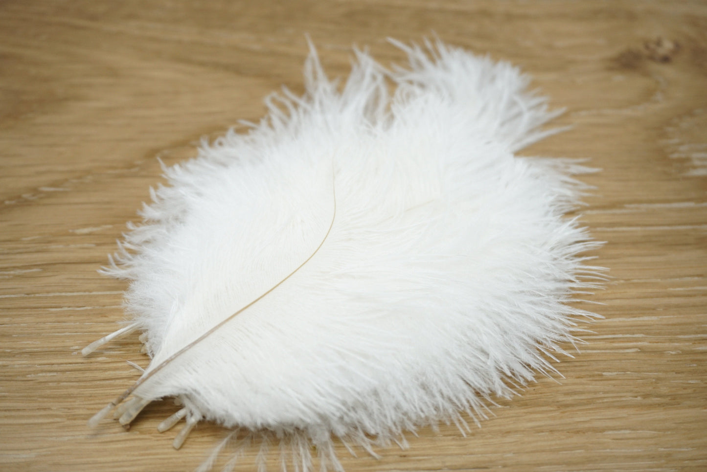 Wapsi Ostrich Marabou White