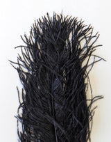 Wapsi Ostrich Plumes Black Saddle Hackle, Hen Hackle, Asst. Feathers