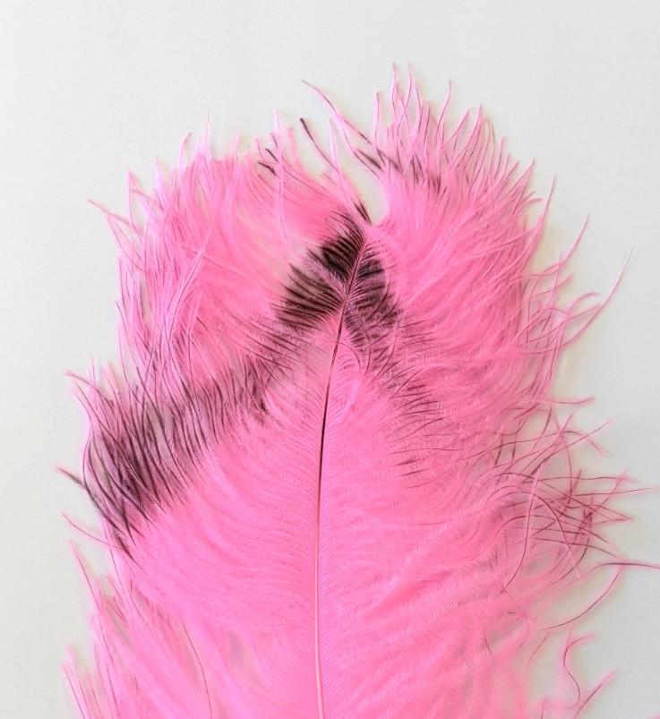 Wapsi Ostrich Plumes Fl. Pink Saddle Hackle, Hen Hackle, Asst. Feathers