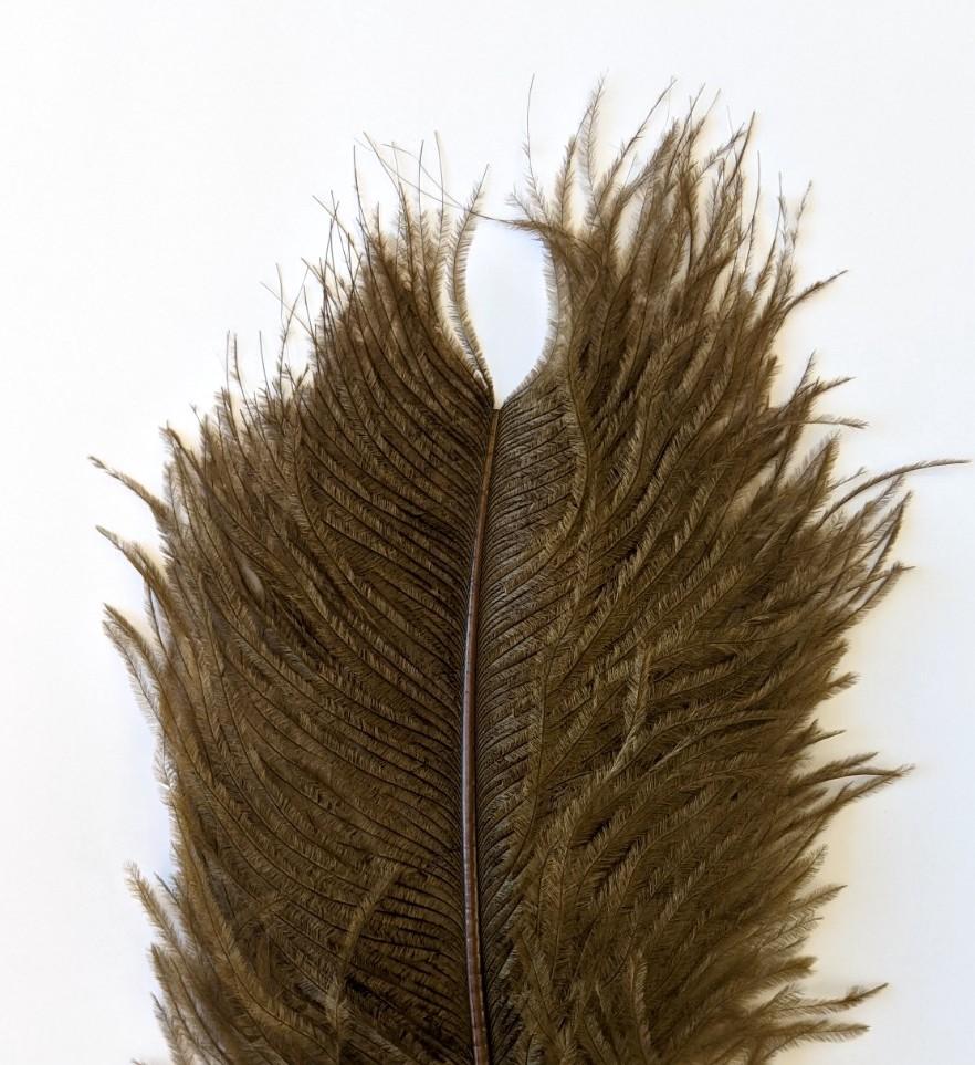 Wapsi Ostrich Plumes Olive Saddle Hackle, Hen Hackle, Asst. Feathers