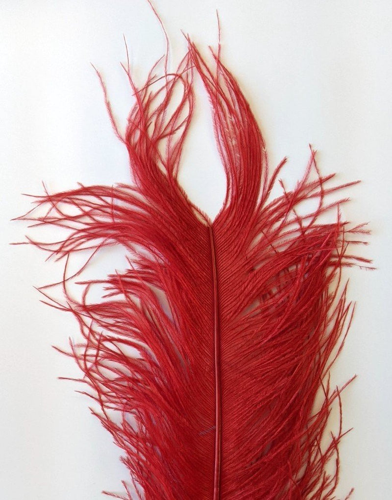 Wapsi Ostrich Plumes Red Saddle Hackle, Hen Hackle, Asst. Feathers
