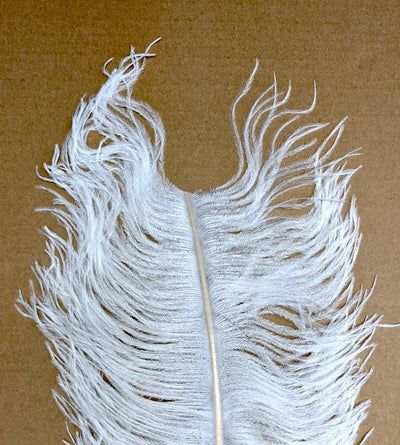 Wapsi Ostrich Plumes White Saddle Hackle, Hen Hackle, Asst. Feathers