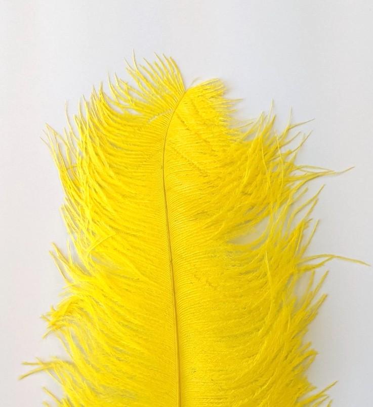 Wapsi Ostrich Plumes Yellow Saddle Hackle, Hen Hackle, Asst. Feathers