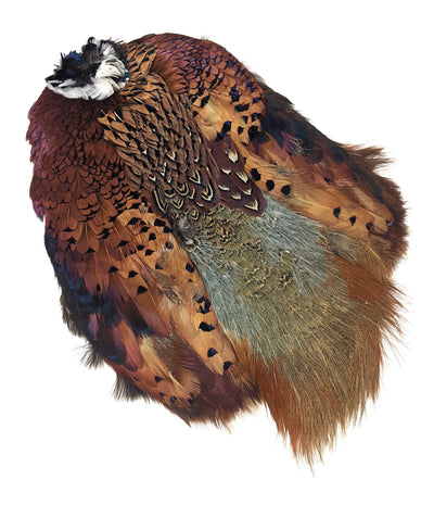 Wapsi Ringneck Pheasant Skin Natural Default Saddle Hackle, Hen Hackle, Asst. Feathers