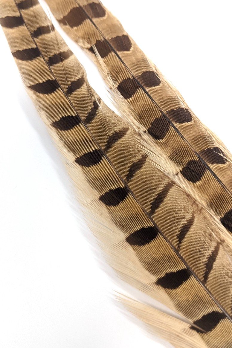 Wapsi Ringneck Pheasant Tail Feathers - 1 pair Bleached Ginger Saddle Hackle, Hen Hackle, Asst. Feathers