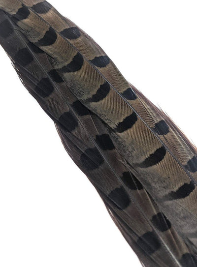 Wapsi Ringneck Pheasant Tail Feathers - 1 pair Dun Saddle Hackle, Hen Hackle, Asst. Feathers