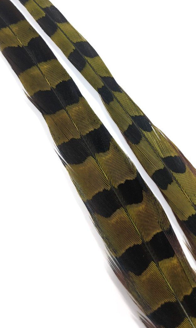 Wapsi Ringneck Pheasant Tail Feathers - 1 pair Light Olive Saddle Hackle, Hen Hackle, Asst. Feathers