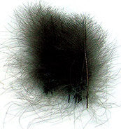 Wapsi Super Select CDC Saddle Hackle, Hen Hackle, Asst. Feathers