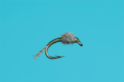 wd40 nymph olive trout fly