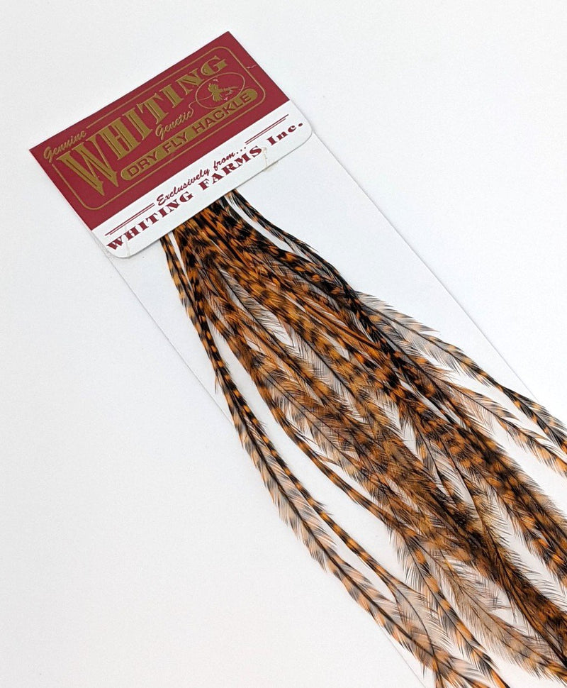 Whiting 100 Pack Dry Fly Saddle Hackle Grizzly Burnt Orange / 12 Dry Fly Hackle