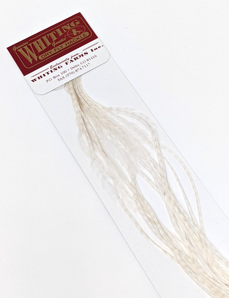 Whiting 100 Pack Dry Fly Saddle Hackle White / 14 Dry Fly Hackle