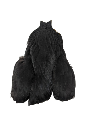 Whiting 4 B Hen Cape Black Saddle Hackle, Hen Hackle, Asst. Feathers