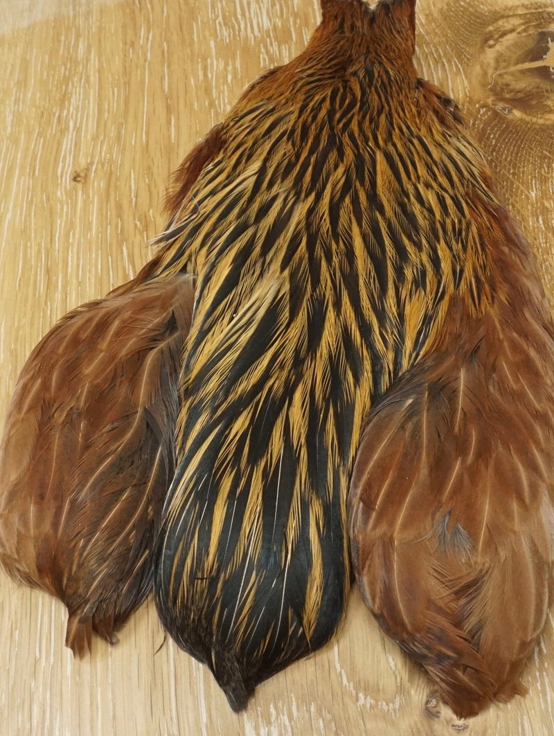 Whiting 4 B Hen Cape Greenwell Saddle Hackle, Hen Hackle, Asst. Feathers