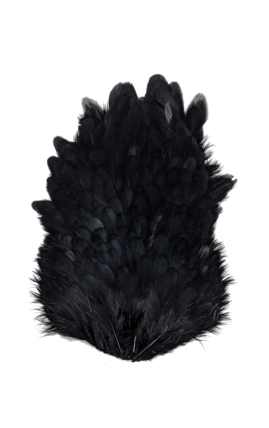 Whiting 4 B Hen Saddle Black Saddle Hackle, Hen Hackle, Asst. Feathers