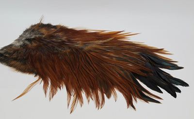 Whiting 4 B Rooster Saddle Saddle Hackle, Hen Hackle, Asst. Feathers