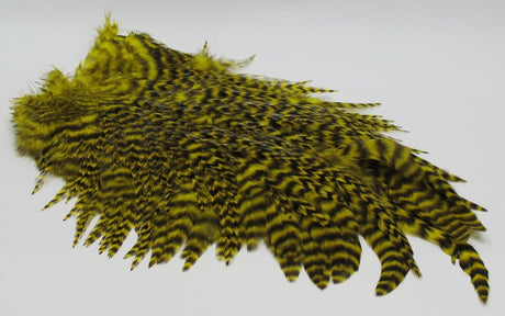 Whiting 4 B Rooster Saddle Fl. Yellow Chart Saddle Hackle, Hen Hackle, Asst. Feathers