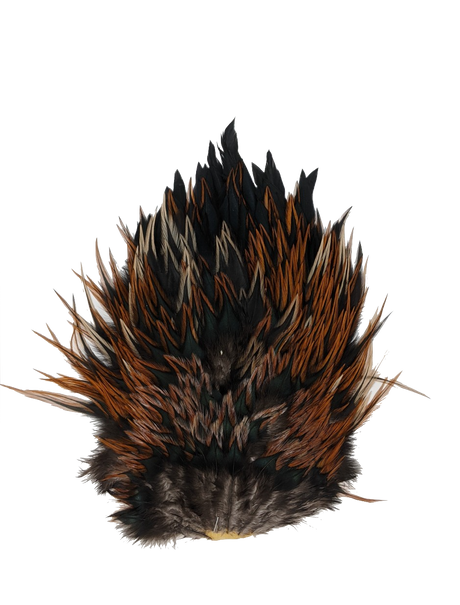 Whiting 4 B Rooster Saddle Furnace Saddle Hackle, Hen Hackle, Asst. Feathers