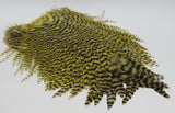 Whiting 4 B Rooster Saddle Grizzly/Yellow Saddle Hackle, Hen Hackle, Asst. Feathers