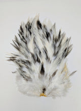 Whiting 4 B Rooster Saddle Splash Saddle Hackle, Hen Hackle, Asst. Feathers