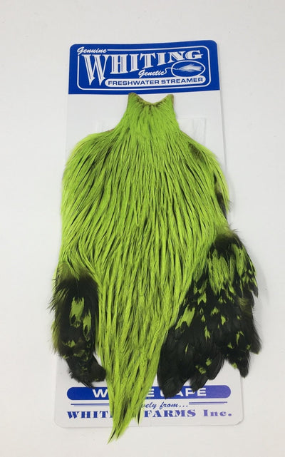 Whiting American Freshwater Streamer Cape Badger FL. Green Chartreuse Saddle Hackle, Hen Hackle, Asst. Feathers