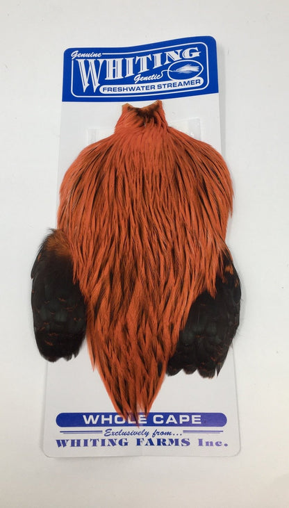 Whiting American Freshwater Streamer Cape Badger Orange Saddle Hackle, Hen Hackle, Asst. Feathers