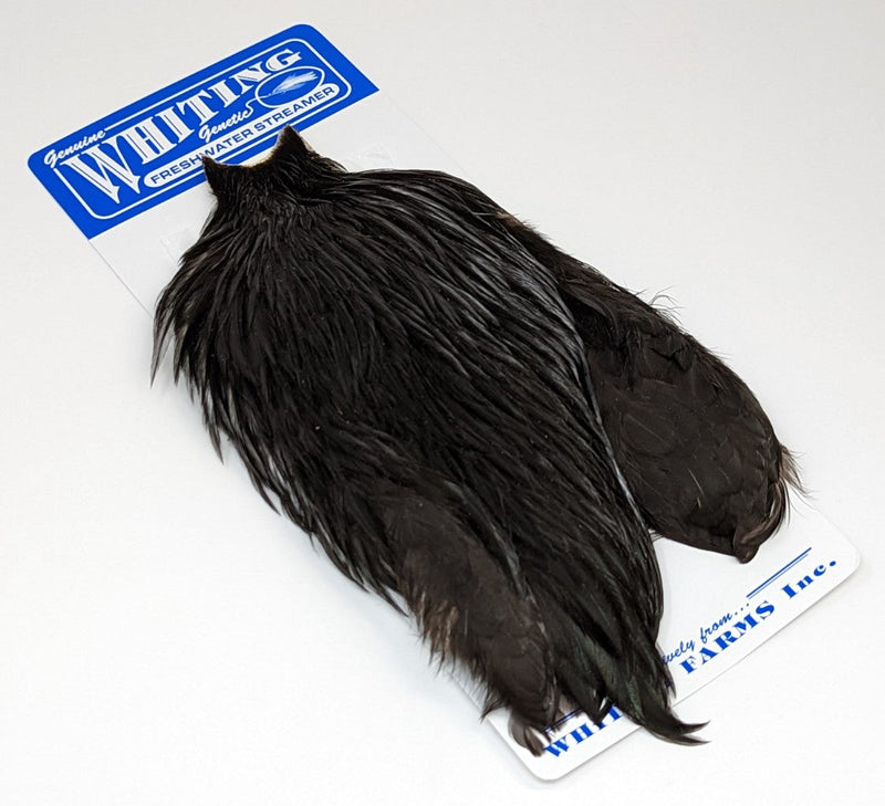 Whiting American Freshwater Streamer Cape Black Saddle Hackle, Hen Hackle, Asst. Feathers