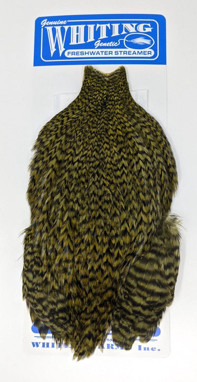 Whiting American Freshwater Streamer Cape Grizzly Dark Olive Saddle Hackle, Hen Hackle, Asst. Feathers