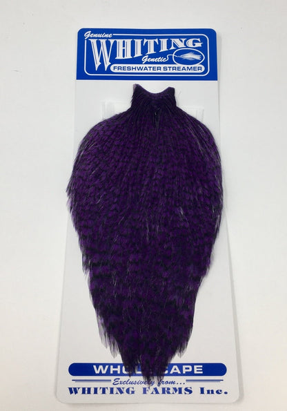 Whiting American Freshwater Streamer Cape Grizzly Purple Saddle Hackle, Hen Hackle, Asst. Feathers