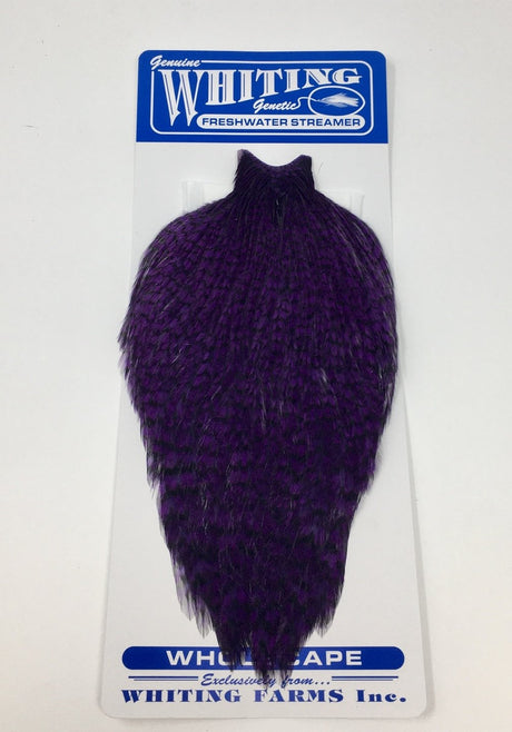 Whiting American Freshwater Streamer Cape Grizzly Purple Saddle Hackle, Hen Hackle, Asst. Feathers