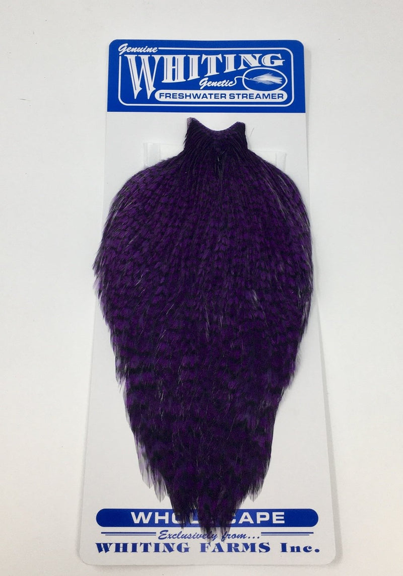 Whiting American Freshwater Streamer Cape Grizzly Purple Saddle Hackle, Hen Hackle, Asst. Feathers