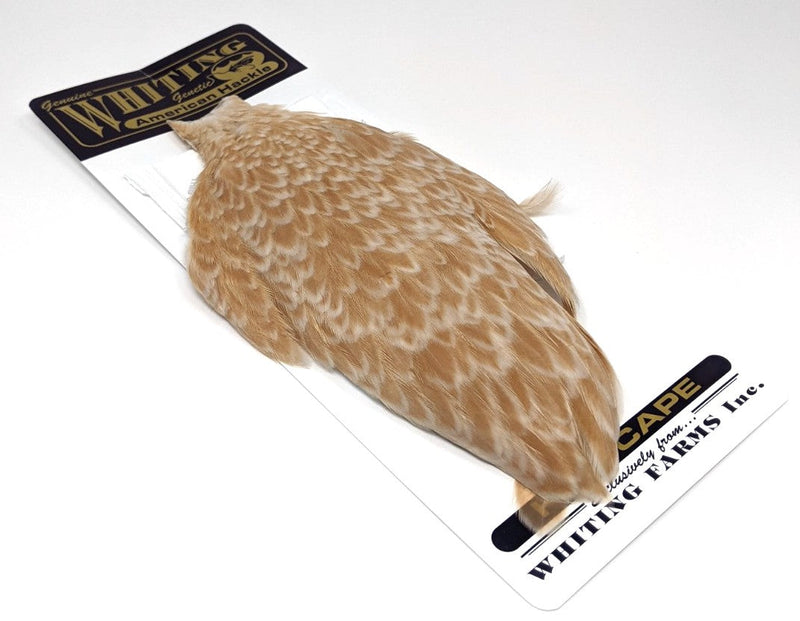 Whiting American Hen Cape Buff laced Ginger Saddle Hackle, Hen Hackle, Asst. Feathers