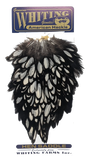 Whiting American Hen Saddle Black laced White Black laced White Saddle Hackle, Hen Hackle, Asst. Feathers