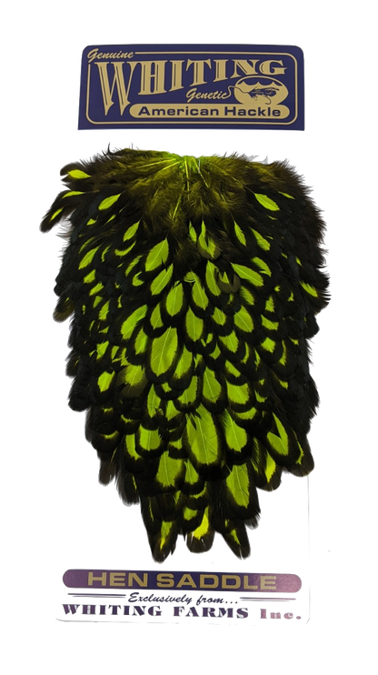 Whiting American Hen Saddle Black laced White dyed Fl. Green Chartreuse Saddle Hackle, Hen Hackle, Asst. Feathers