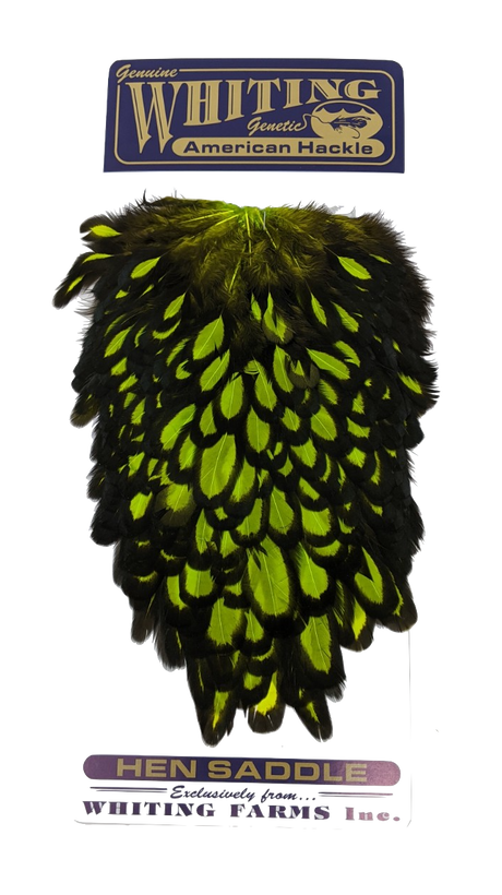 Whiting American Hen Saddle Black laced White dyed Fl. Green Chartreuse Saddle Hackle, Hen Hackle, Asst. Feathers