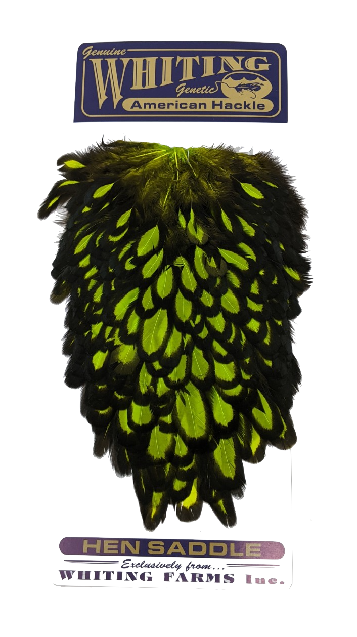 Whiting American Hen Saddle Black laced White dyed Fl. Green Chartreuse Saddle Hackle, Hen Hackle, Asst. Feathers