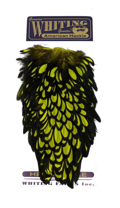 Whiting American Hen Saddle Black laced White dyed Fl. Yellow Chartreuse Saddle Hackle, Hen Hackle, Asst. Feathers