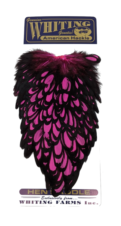 Whiting American Hen Saddle Black laced White dyed Pink Saddle Hackle, Hen Hackle, Asst. Feathers