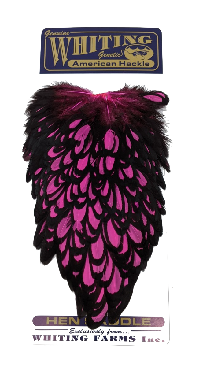 Whiting American Hen Saddle Black laced White dyed Pink Saddle Hackle, Hen Hackle, Asst. Feathers