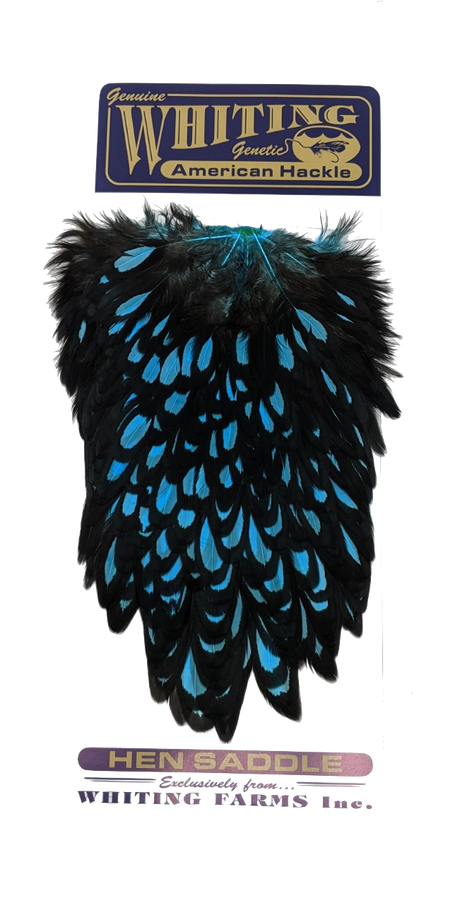 Whiting American Hen Saddle Black laced White dyed Silver Dr. Blue Saddle Hackle, Hen Hackle, Asst. Feathers