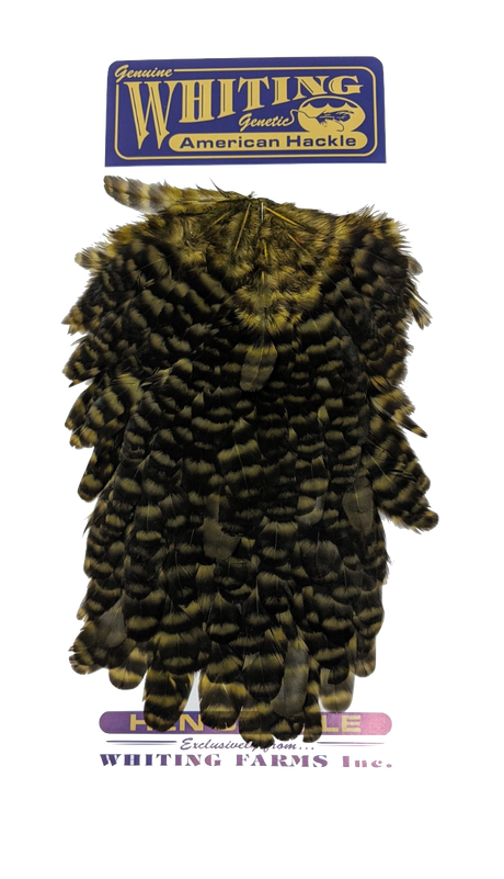 Whiting American Hen Saddles Saddle Hackle, Hen Hackle, Asst. Feathers