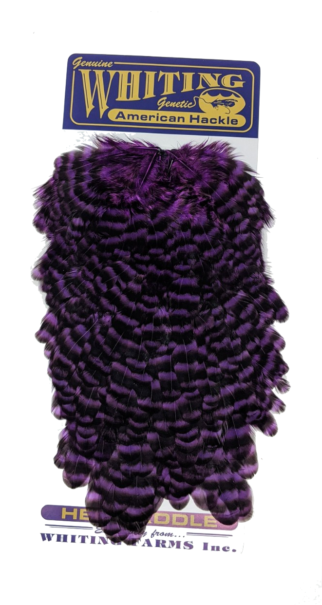 Whiting American Hen Saddles Grizzly Purple Saddle Hackle, Hen Hackle, Asst. Feathers