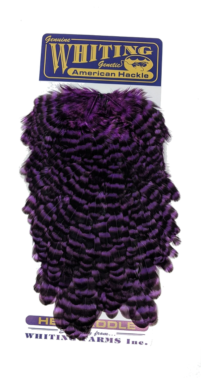 Whiting American Hen Saddles Grizzly Purple Saddle Hackle, Hen Hackle, Asst. Feathers