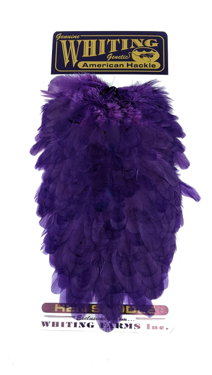 Whiting American Hen Saddles Purple Saddle Hackle, Hen Hackle, Asst. Feathers