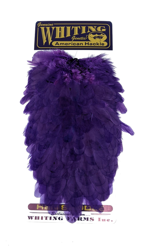 Whiting American Hen Saddles Purple Saddle Hackle, Hen Hackle, Asst. Feathers