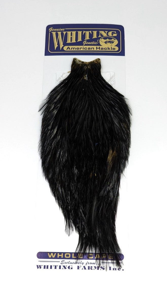 Whiting American Rooster Cape – Dakota Angler & Outfitter