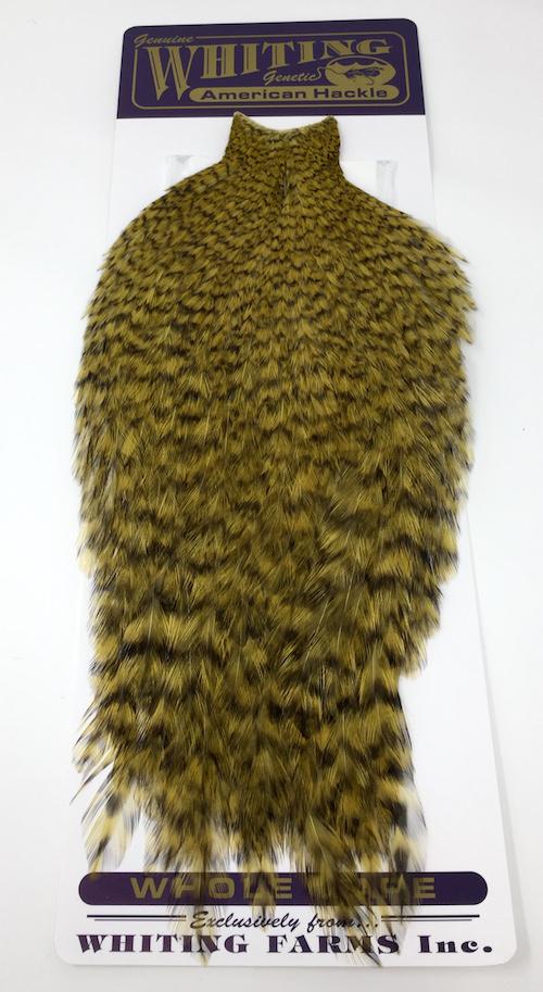 Whiting American Rooster Cape – Dakota Angler & Outfitter