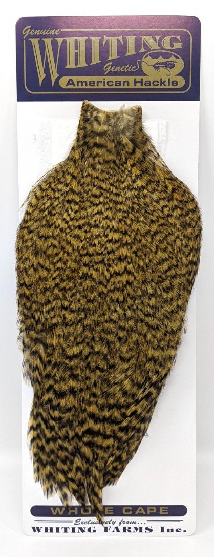 Whiting American Rooster Cape – Dakota Angler & Outfitter