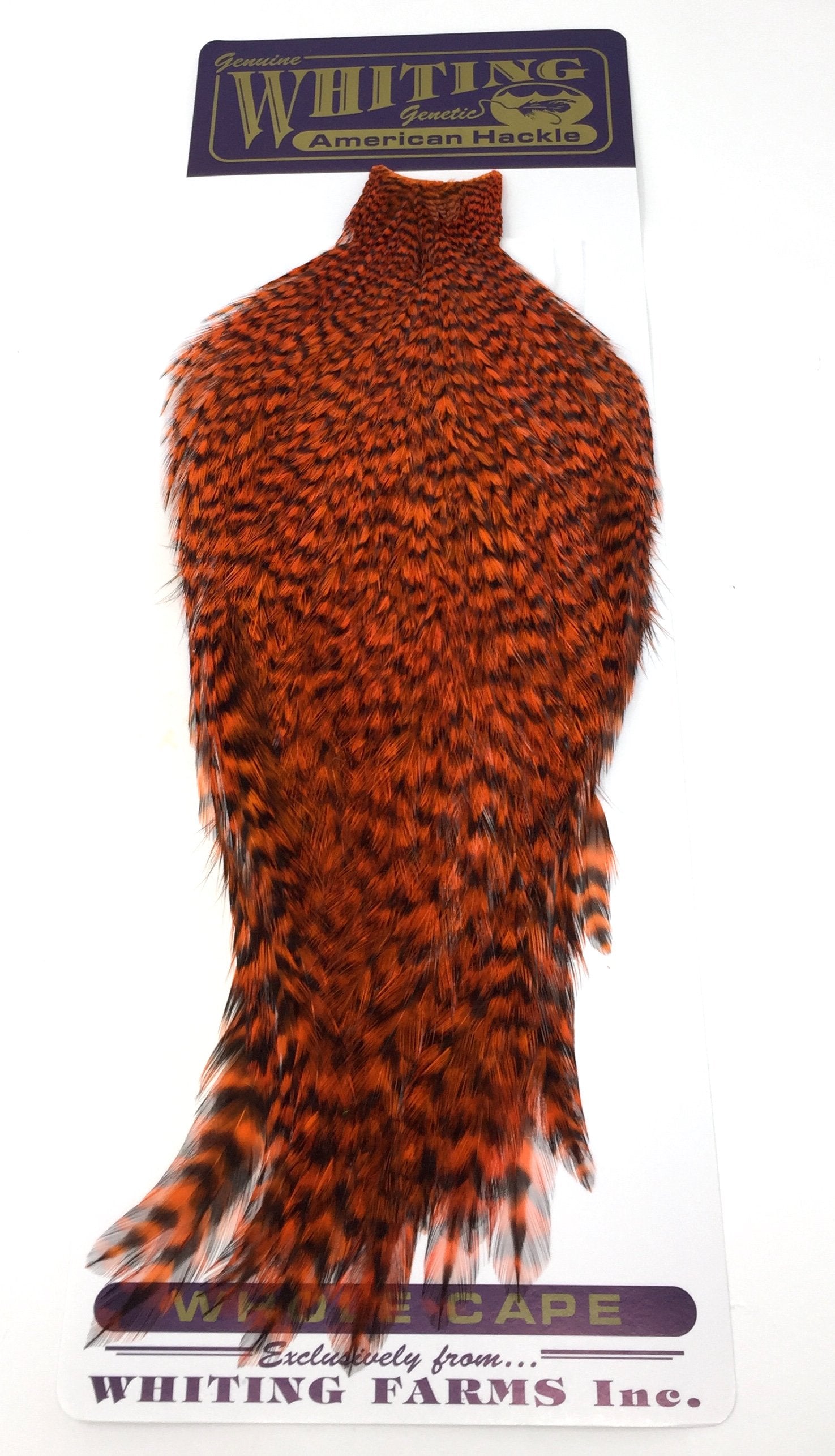 Whiting American Rooster Cape – Dakota Angler & Outfitter