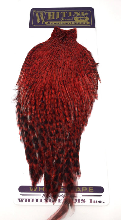 Whiting American Rooster Cape Grizzly Dyed Red Dry Fly Hackle
