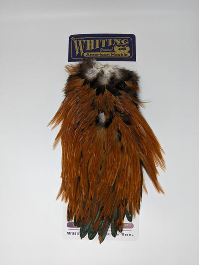 Whiting American Rooster Saddles Saddle Hackle, Hen Hackle, Asst. Feathers